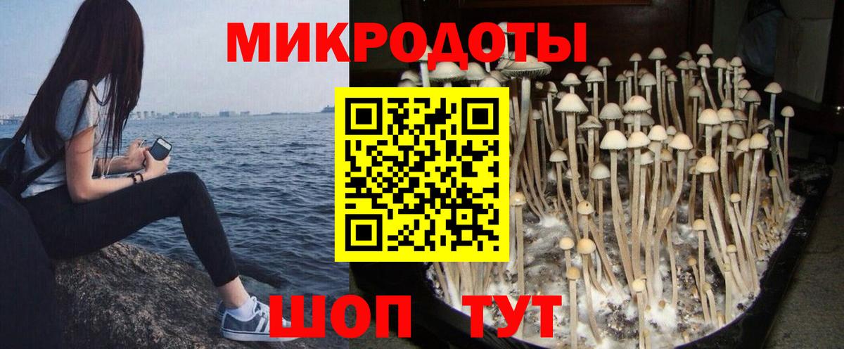 Галлюциногенные грибы мицелий  Галлюциногенные грибы мухоморы  Лениногорск  Вход с VPN 